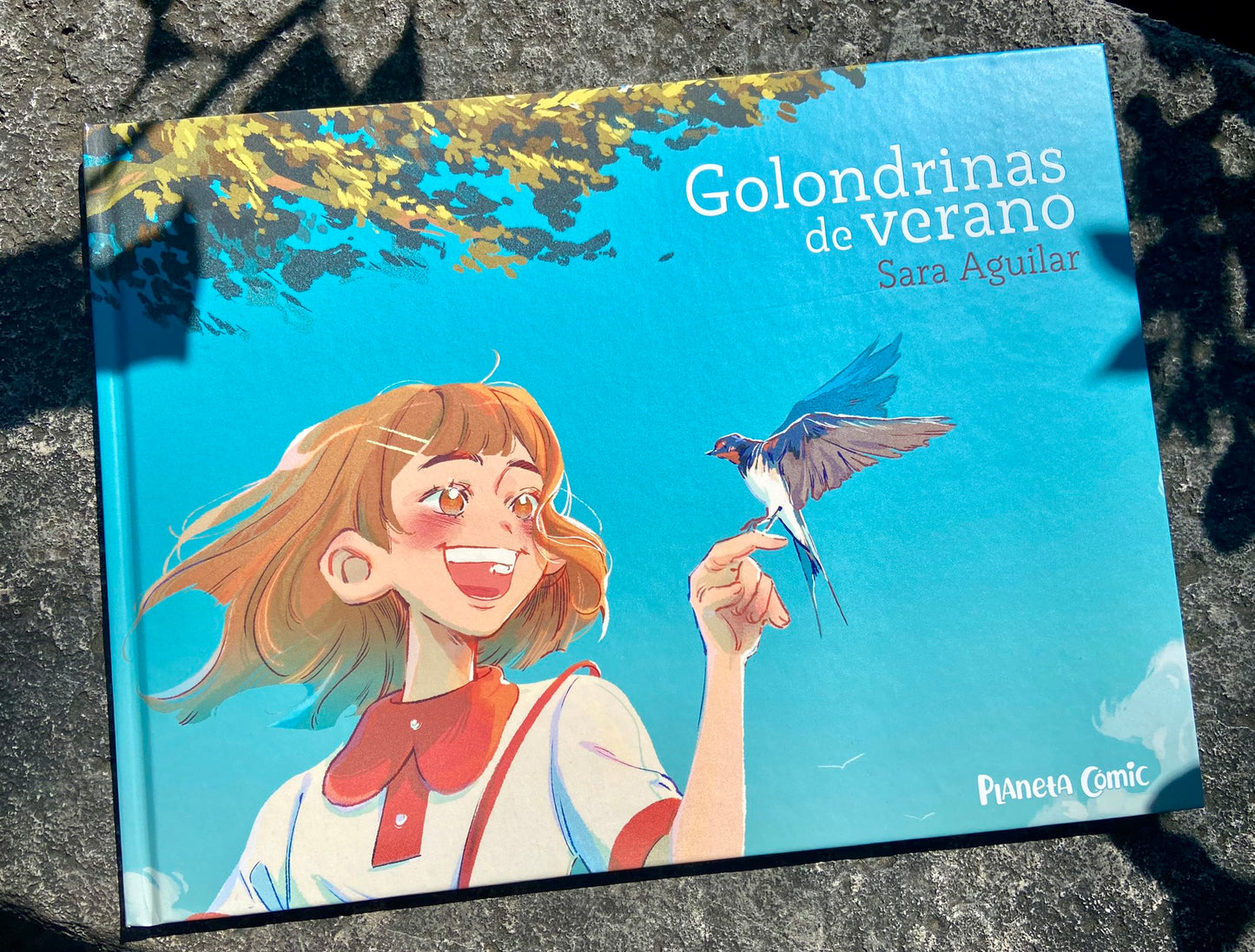 Golondrinas de Verano (PLANETA CÓMIC)