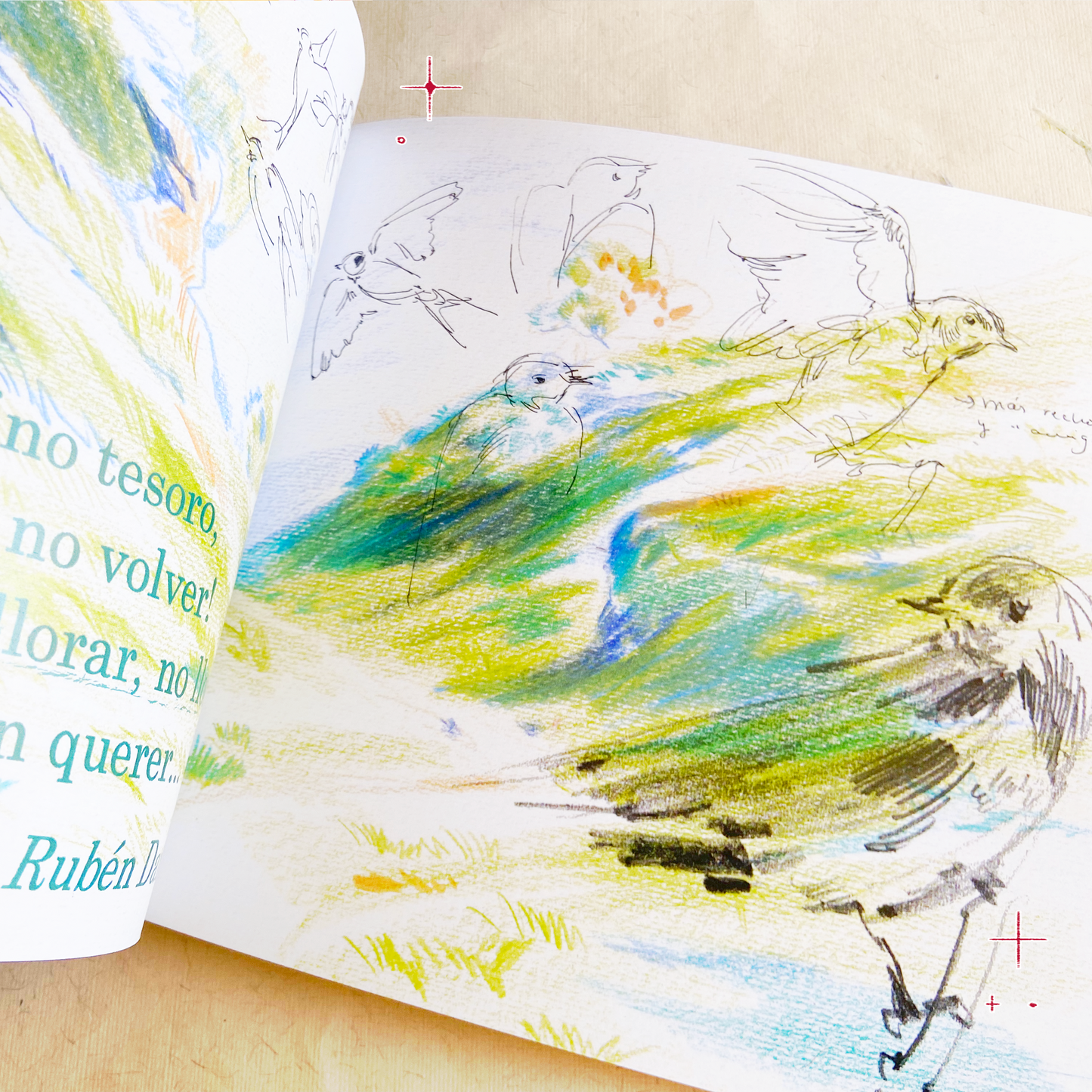 2023/2025 SKETCHBOOK Zine "Vermell"